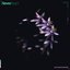 Complicated - Single
