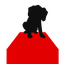 Avatar for saltybeagle