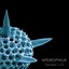 Interrelate: L.U.A.