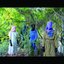 Cotton - Single