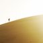 Dry Wind - Single