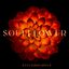 Soulflower