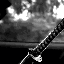 Avatar de Quarm616