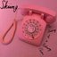 The Diary of a Rotary Phone