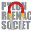 Pylon Reenactment Society - Magnet Factory album artwork
