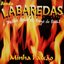 Minha Paixão (A Melhor Banda de Brega do Brasil)
