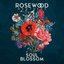 Soul Blossom
