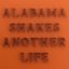 Another Life