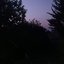 AV_Syndrome_0.1