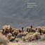 Signal To Noise - Volume II