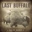 Last Buffalo