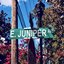 Juniper Avenue