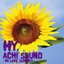 ACHI SOUND～HY LOVE SUMMER～