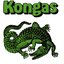 Kongas