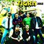 Tigris 2012 Maxi