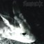 hollowdeer - Single