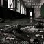 Exclusion Zones