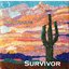 Survivor