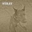 Stray