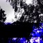 Regenesis