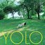 YOLO - Single