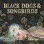 Black Dogs & Songbirds