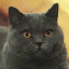 Avatar for otern123