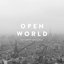 OPEN WORLD