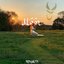 Noor (Light) - Single
