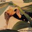 Like It More - Single