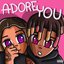 Adore You