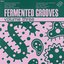 Fermented Grooves Vol 3