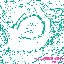ホムンクルス / Gift