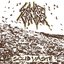 Solid Waste