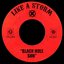 Black Hole Sun