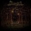 From Whence the Woods...