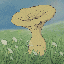 Avatar for orrisroot