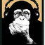 Avatar für derbingobaer