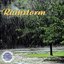 Nature's Rhythms - Rainstorm