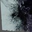 Spectral Decay vol.2