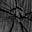 Land Crushed - Single