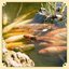 Sage - Single