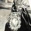 Avatar für star_0