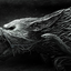 Avatar for Twisted4