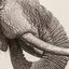 World Elephant Day