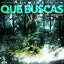 Que Buscas
