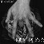 Divine Roses - Single