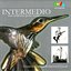 Intermedio - Latin American Guitar Music