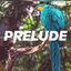 Prelude - Single