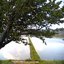 Nature Sound - Azumino - Frog's chirp01